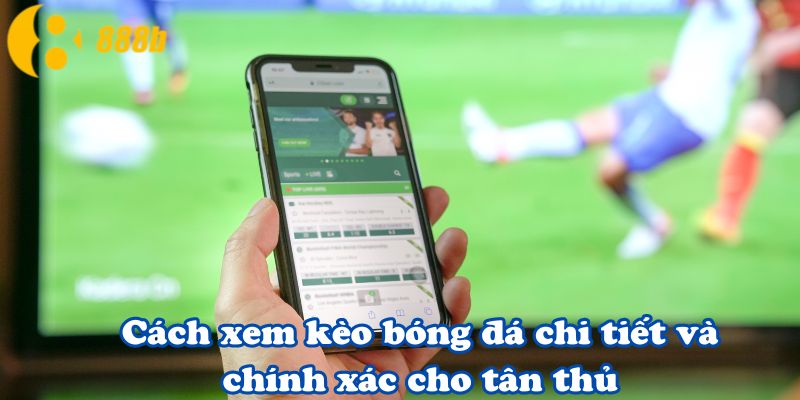 Cách xem kèo bóng đá chi tiết và chính xác cho tân thủ