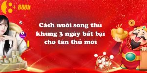 Cách nuôi song thủ khung 3 ngày bất bại cho tân thủ mới